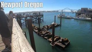 Newport, Oregon 2020 Travel Coastal City 4k Walking Tour