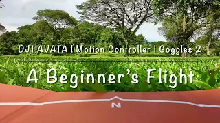 DJI AVATA | A Beginner’s Flight | Motion Controller | Goggles 2