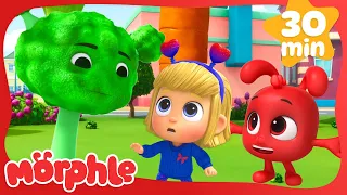 Petport Turns into Veggieland! | 🔴 Morphle VS Orphle 🟢 | Fun Kids Cartoon