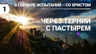 Субботняя школа в Верхней горнице: В Горниле испытаний со Христом: 22 псалом Давида