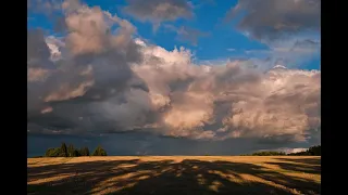 Eesti loodus Augustis - Estonian Nature in August (4K)