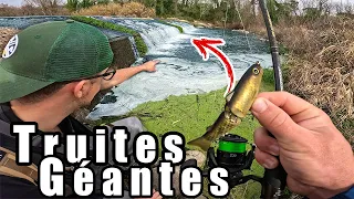 Une TRUITE GÉANTE dans ce Trou d'eau ?! Pêche exceptionnelle en rivière !