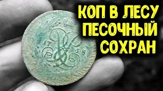 КОП МОНЕТ 2019! НАШЕЛ В ЛЕСУ СТАРИННЫЕ МОНЕТЫ ПОИСК МОНЕТ В ЛЕСУ С МЕТАЛЛОИСКАТЕЛЕМ MINELAB