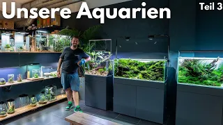 Liquid Nature Gallery Aquarien! Ladentour