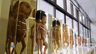 Strangest Museums Around the World || Top 10