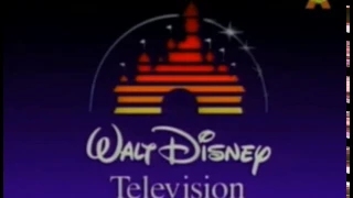 Walt Disney Television/Buena Vista International, Inc.  (1992) #3