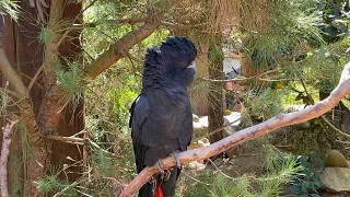 Inside Auckland Zoo in Auckland, New Zealand