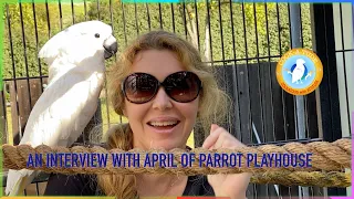 An Interview with April | Ep.111: Parrot Playhouse Aviary | Cockatude: Cockatoos with Attitude