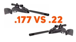 Gamo Swarm MAXXIM .177 VS Gamo Swarm MAXXIM .22 - Side By Side Comparison