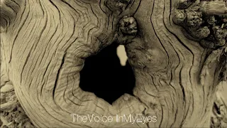 MV｜The Voice In My Eyes -3