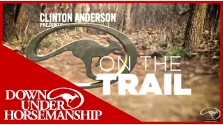 Clinton Anderson: How to Correct a Horse That Jigs - Downunder Horsemanship