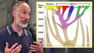 Key period in human evolution likely wasn't in Africa – David Reich