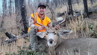 Utah Mule Deer Kill Shot