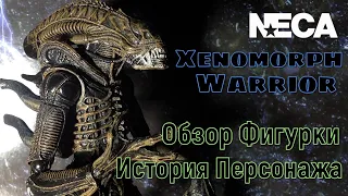 КСЕНОМОРФ ВОИН Обзор Фигурки Neca / История Персонажа (Xenomorph Warrior Action Figure Review)