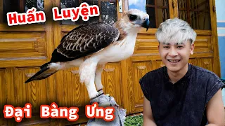 Hậu Cáo - Huấn Luyện Đại Bàng Ưng Và Dự Án Bán Đồ Ăn Trên TikTok