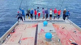 Maldives skipjack tuna fishing | how to fishing Maldives Deep Sea