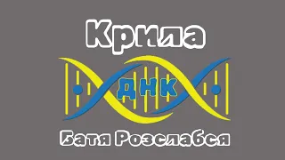 Крила (пісня на вірш Ліни Костенко) 🎸 ДНК, Батя Розслабся від РепетоДжему ⚡ Благодійний концерт