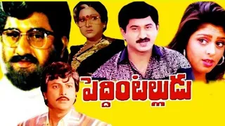 30 వసంతాల ‘పెద్దింటల్లుడు | Suman: Peddintalludu is now 30 years