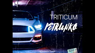 TRITICUM - Petrunko (Amice Remix)