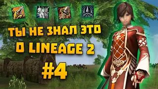 ТЫ НЕ ЗНАЛ ЭТОГО О LINEAGE 2 #4