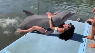 A woman and dolphin| Gone sexual