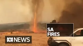 Kangaroo Island fire described as 'virtually unstoppable' | ABC News