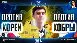 ГОРЯЧАЯ ВСТРЕЧА: Clem вновь встретился с KingCobra на ESL Open StarCraft II после матчей с корейцами