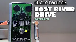 Electro-Harmonix East River Drive Overdrive Pedal (Demo by JJ Tanis)