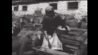 HD Karatchai in Soviet documentary movie Chronicle (1928, 1962)