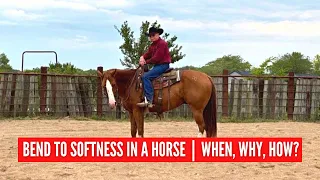 D/C  BEND TO SOFTNESS IN A HORSE  |  When, Why, and How to Bend your Horse