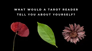🌷 Pick A Card 🌷 What Would A Tarot Reader Tell You About Yourself? 🖋 🦋 (Inkblot Reading!) 🌟