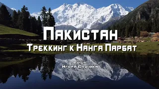 Пакистан. Треккинг к Нанга Парбат