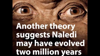 What does Homo Naledi's new found youth mean?