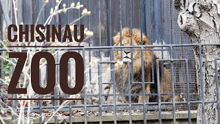 Visit Moldova: Chisinau Zoo
