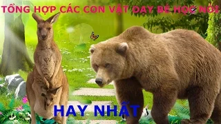 TỔNG HỢP các con vật cho bé yêu tập nói tiếng Việt hay và đáng yêu nhất