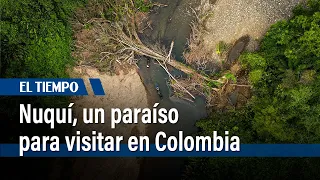 ¿Por qué Nuquí es un paraíso y debería visitarlo? | El Tiempo