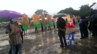 SAN ANTONIO ELEMENTARY SCHOOL #sinulogfestival 2024 | MABINI,DAVAO DE ORO , PHILIPPINES