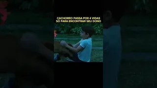 CACHORRO PASSA POR 4 VIDAS SÓ PARA ENCONTRAR SEU DONO