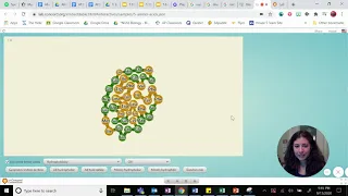 Protein Folding