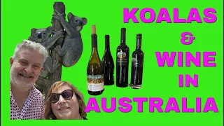 AMERICANS VISITING AUSTRALIA | Hunter Valley Winery | Port Stephens Koala Sanctuary | Billabong Zoo
