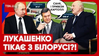 🤔 Лукашенко тікає до Януковича?! Диктатор звів нову "хату" на "болотах": її видно навіть з космосу!