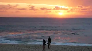 Le ballet des baleines à Boucan Canot