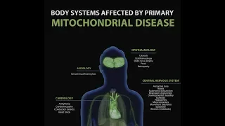 Mitochondrial Disease Body Scan