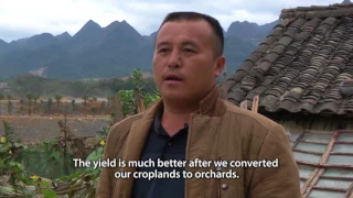 Restoring forest landscapes in China: Farmers’ voices