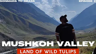 Mushkoh Valley || Kargil Battlefield || Sonmarg to Drass || Episode 2