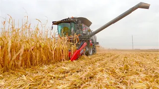 Nothing Runs Like A Gleaner! Inside The Cab of an S97 Super Series