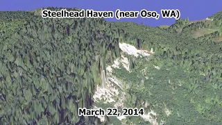 3D fly-through of the Oso mudslide