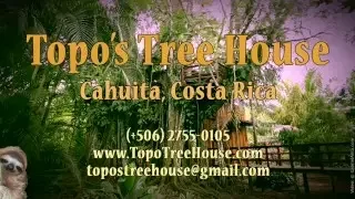 Costa Rica Tree House