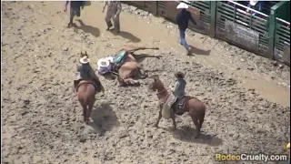 Horses Abused at 2019 Rowell Ranch Rodeo