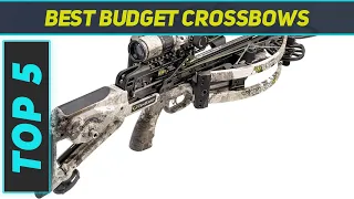 Top 5 Best Budget Crossbows in 2024